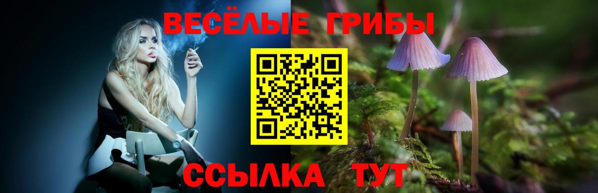 Псилоцибиновые грибы Psilocybe  Псилоцибиновые грибы ЛСД  Костомукша  Вход с VPN 